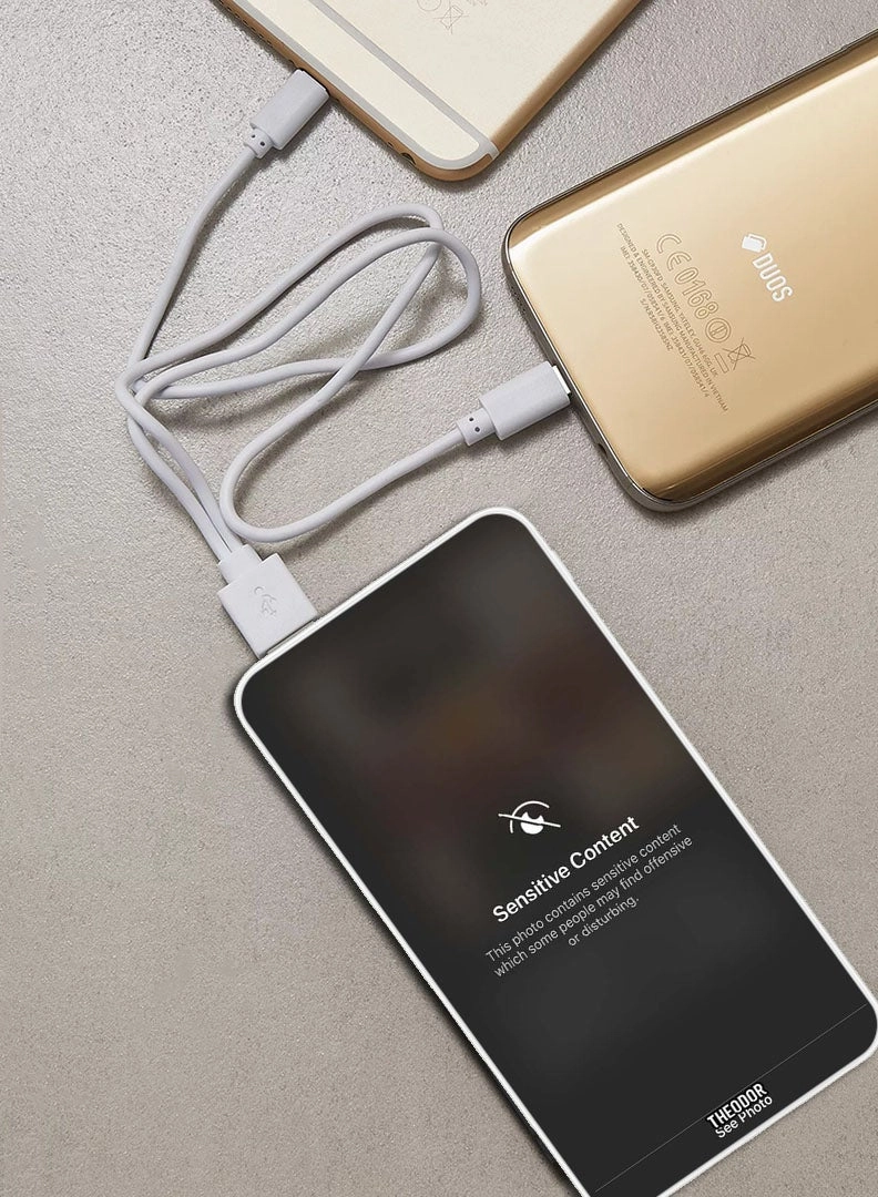 PPBA528 - 10000 Watt-hour 18W PD output