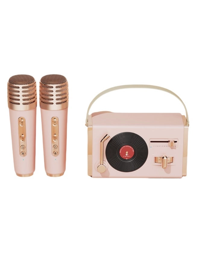 LED Bluetooth Karaoke Speaker - Dual Microphones