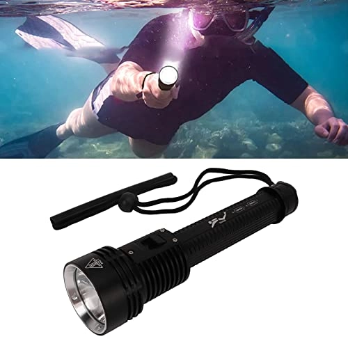 T40 Diving Flashlight