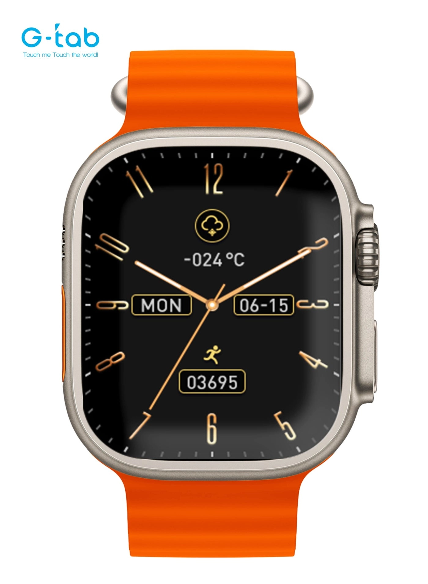 FT8 Pro Version 2 Stainless Steel