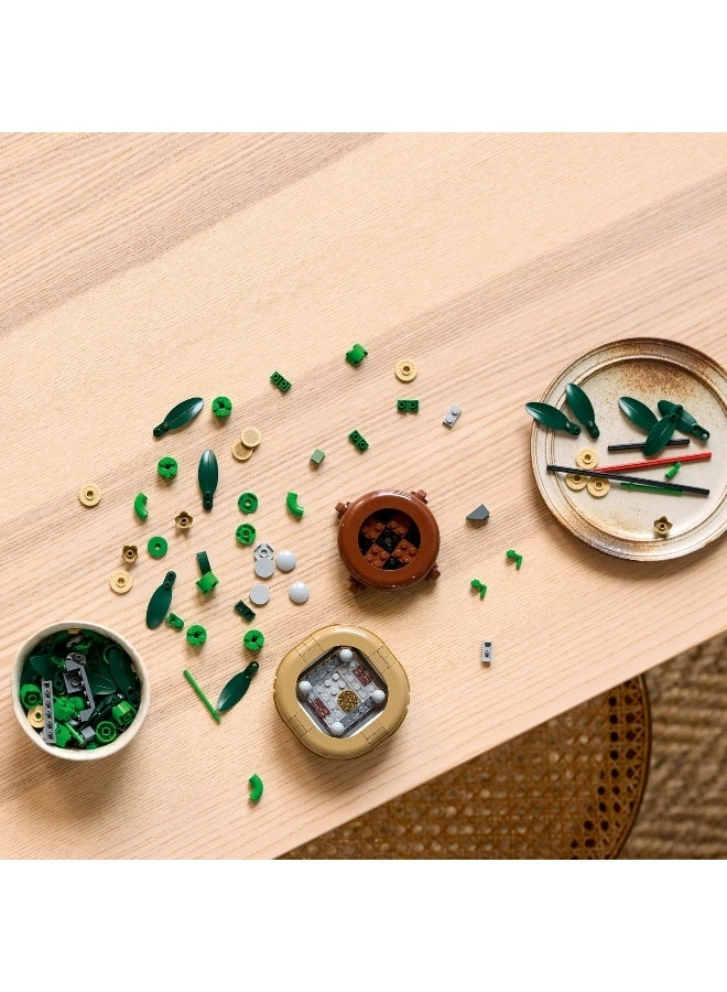 Lucky Bamboo (10344) - Botanicals