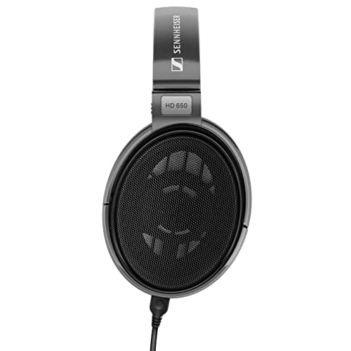 HD 650 Wired Headphone