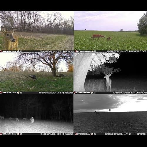 Revolver 40MP Pro + Sol-Pak Solar Battery Pack + Ultra SDHC UHS-I Memory Card - 32GB + Hi-Speed SD USB 2.0 Card Reader