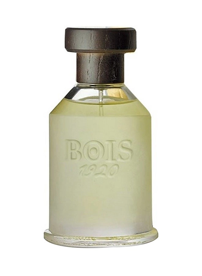 Bois 1920 Agrumi Amari Disicilia Eau de Toilette - 100ml