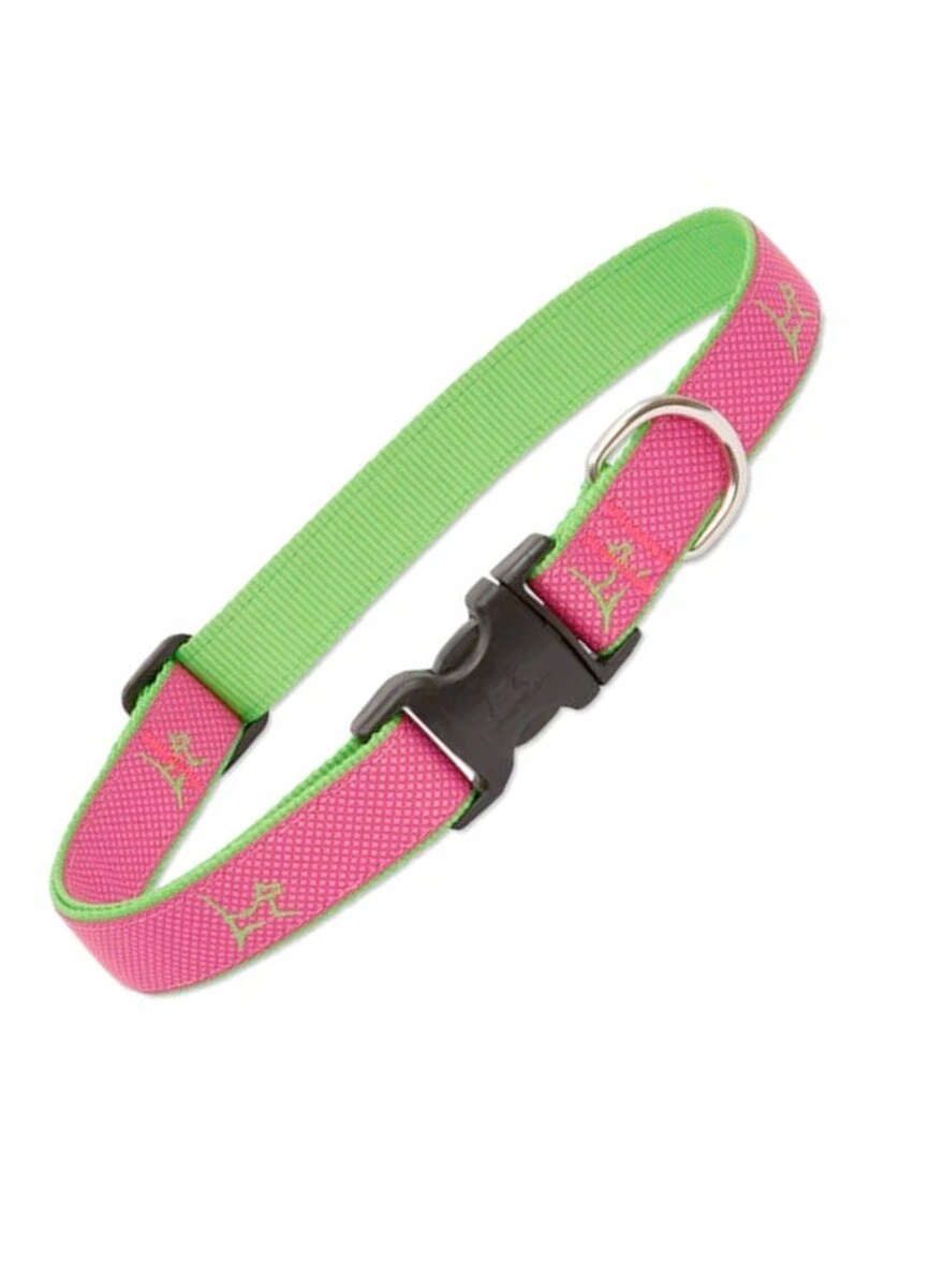 Adjustable Collar - 1/2″ (Width) 8-12″(Neck) Small Dogs
