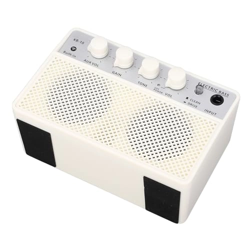 Compact Bass Amplifier - 10W Dual Channel