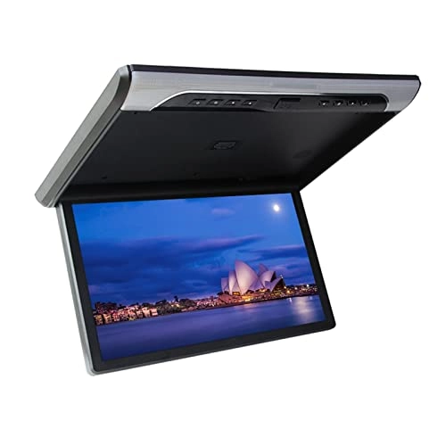 Car Ceiling Display - 19 Inch