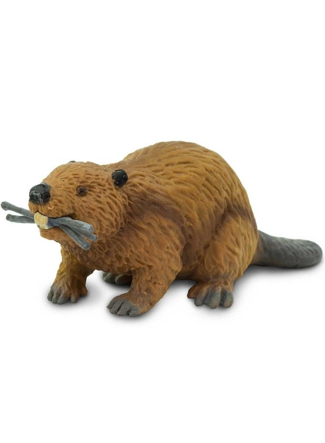 Safari Ltd Children's Toy Figures - Beaver