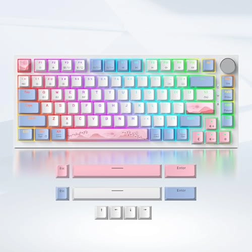 75% Mechanical Keyboard - EN Wired/Wireless