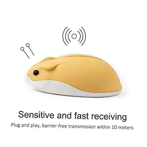 Optical Cordless Mouse - USB
