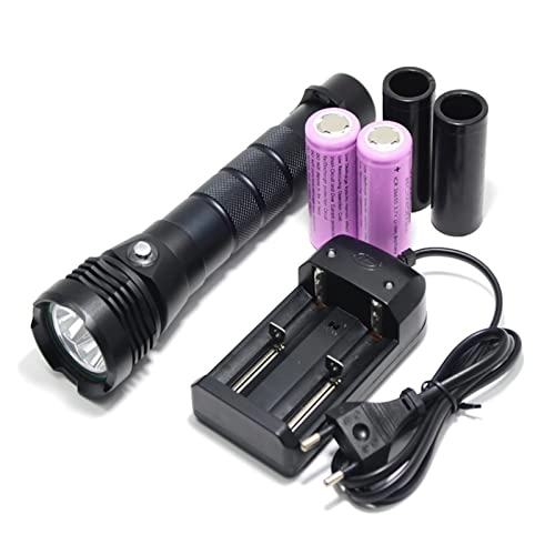 Professional Submersible Light