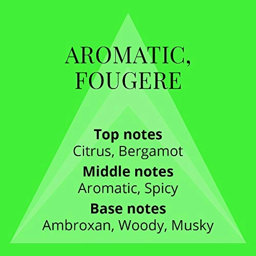 Volt Eau de Parfum 90ml