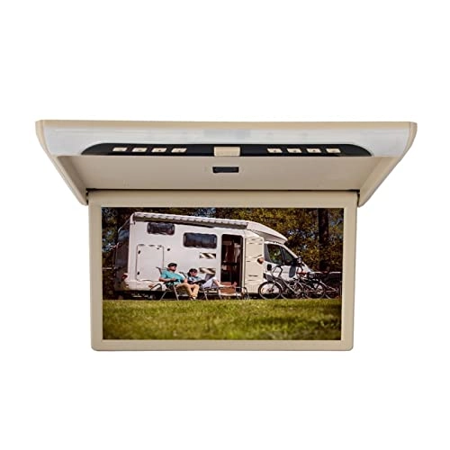 Car Ceiling Display - 19 Inch