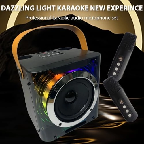 Karaoke Machine - 2 15W