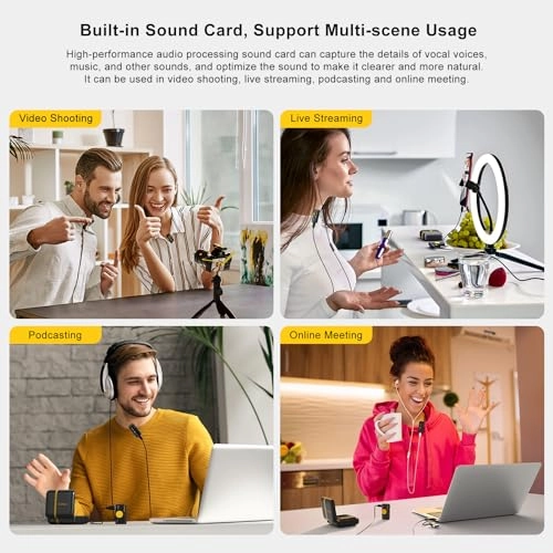 iRay DW10 - 1 Receiver 1 Microphone