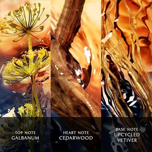 Cool Water Reborn Eau de Parfum 50ml