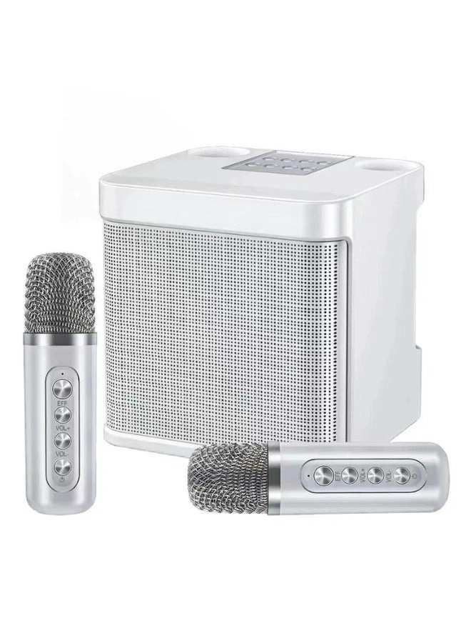 Agofyngs Wireless Karaoke Machine - 2 Microphones