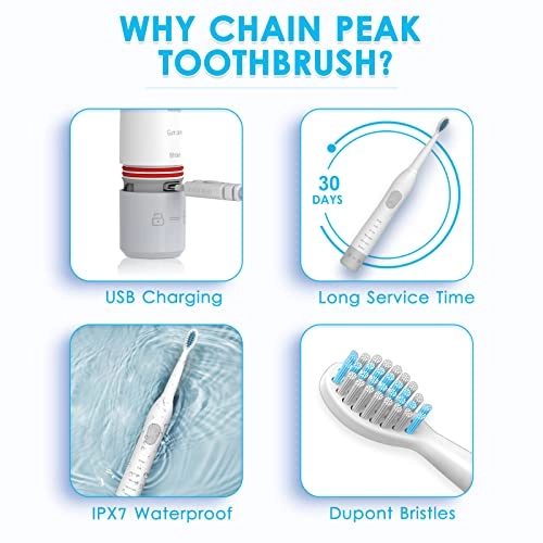 Dinosaur Electric Toothbrush - Kids Sonic Rechargeable 4 Brush Heads