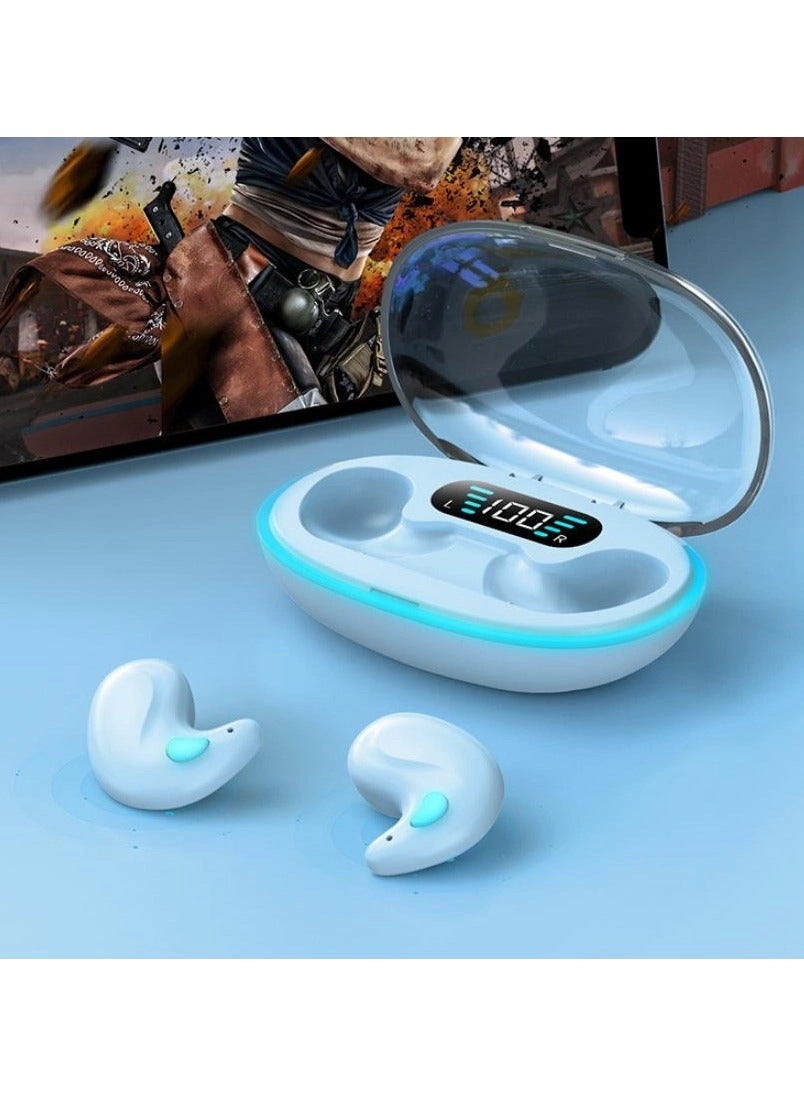 Wireless Bluetooth Earphones