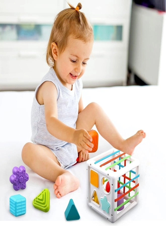 Montessori Sensory Shape Sorter - 1+