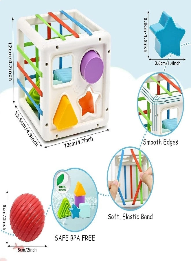 Montessori Sensory Shape Sorter - 1+