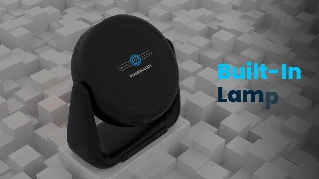 PWHDPBNBK 300 ANSI Lumens