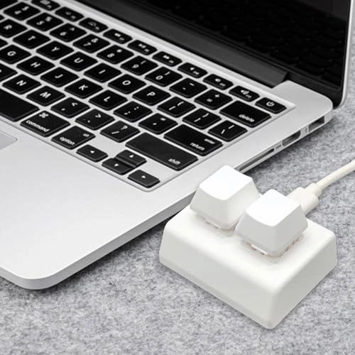 2 Button Keyboard - Wired