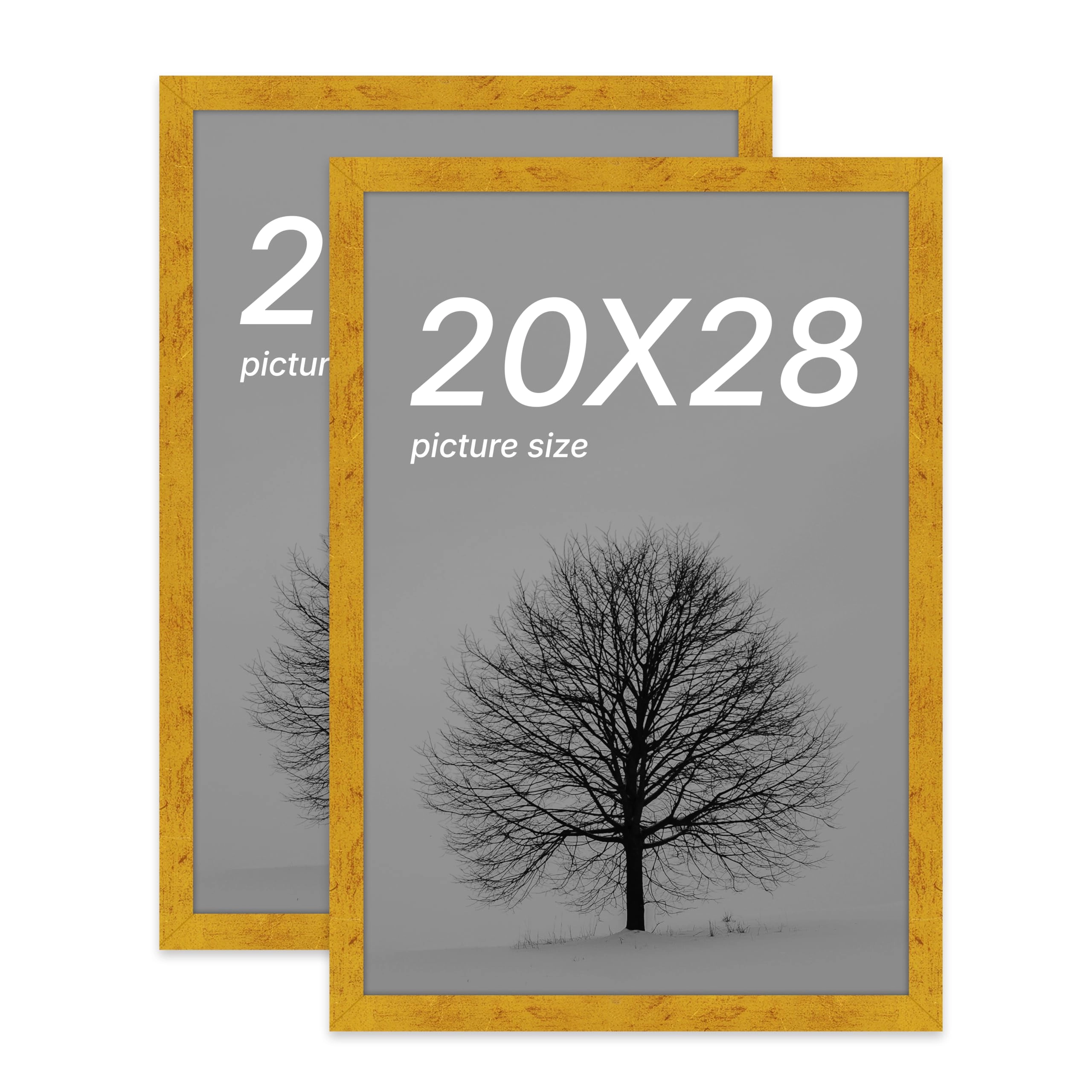 Document Frame - 20x28 Inch