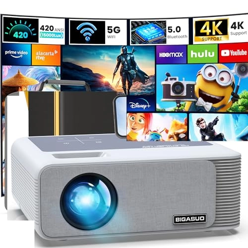 410B 850 ANSI 1920 x 1080