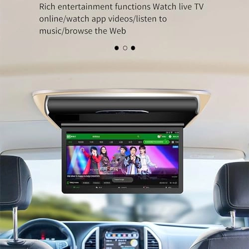 Car ceiling display - 15.6-inch 17.3-inch