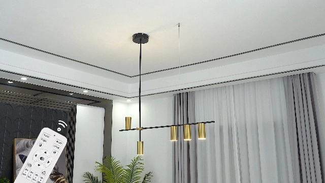 LED Pendant Light - 47.2in(120cm)
