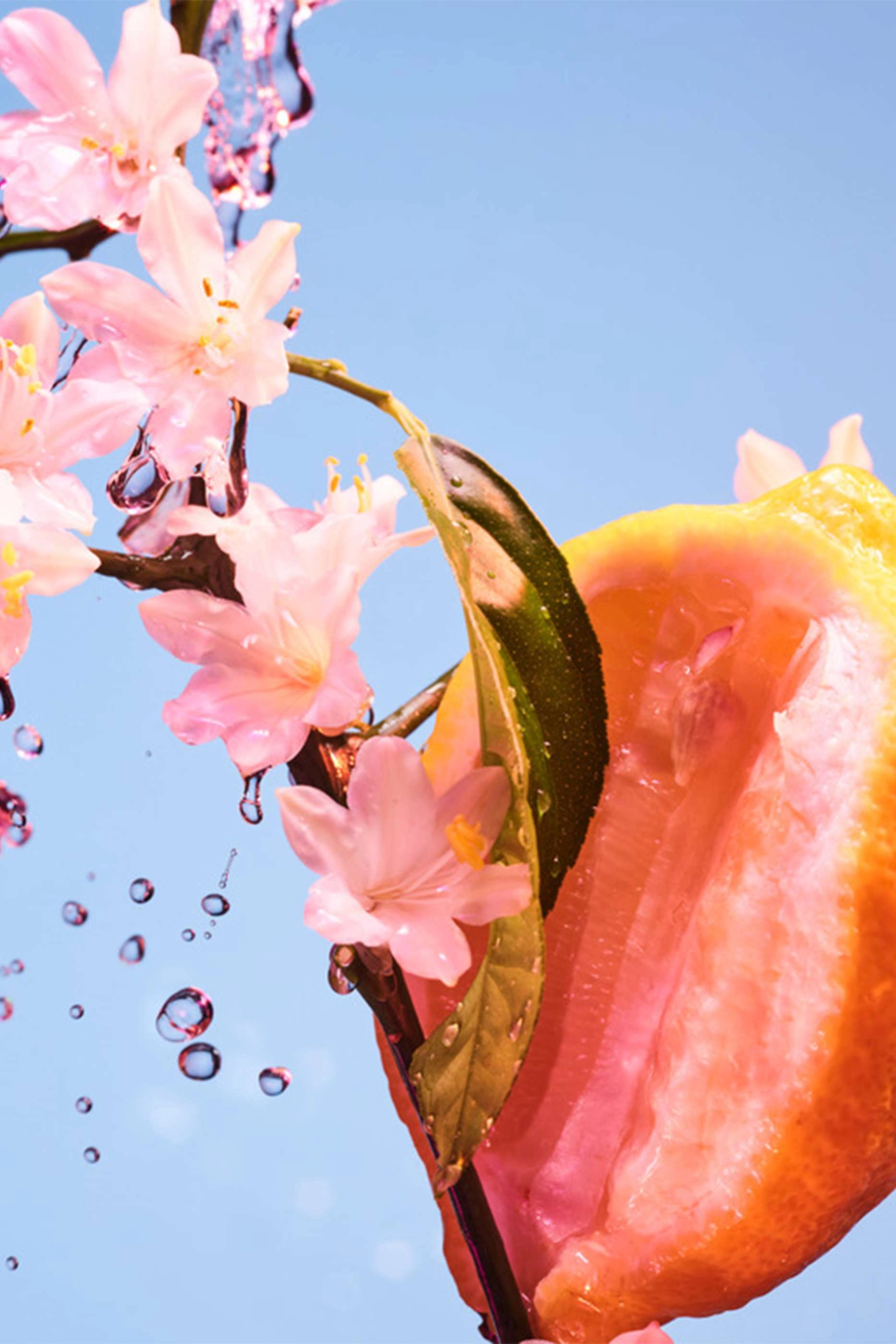 Allegra Chill & Sole Eau de Parfum 50ml