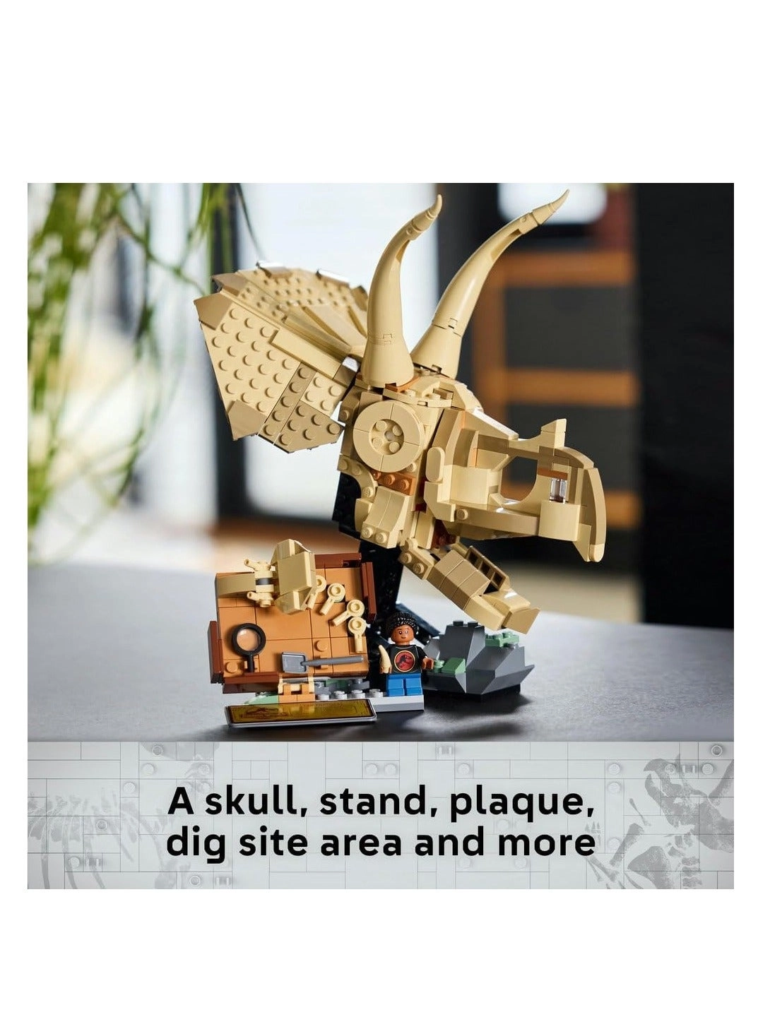 Jurassic World Triceratops Skull (76969)