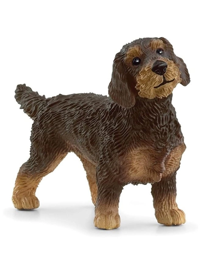 schleich Farm World - Wire-Haired Dachshund (4059433746012)