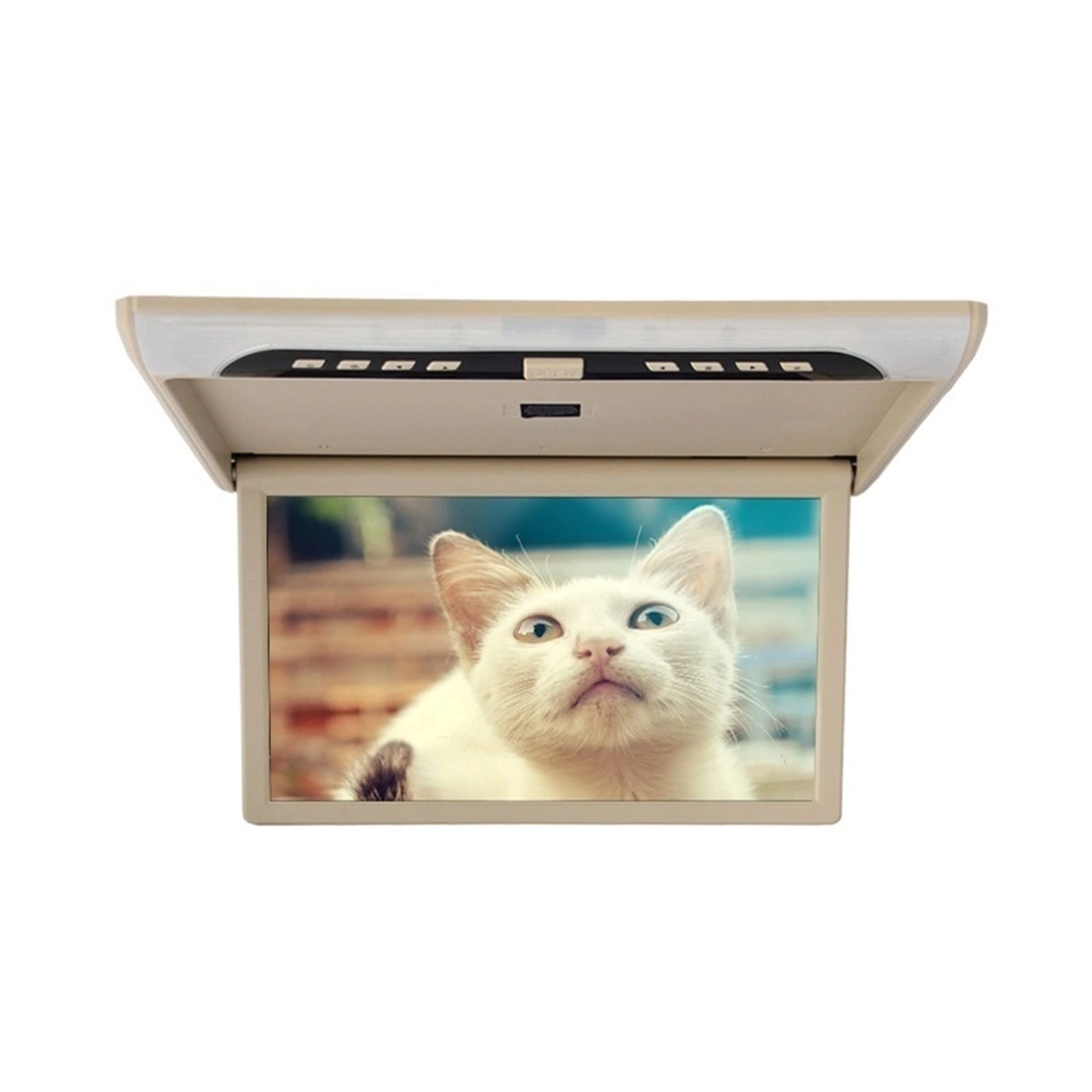 Car Ceiling Display - 19 Inch