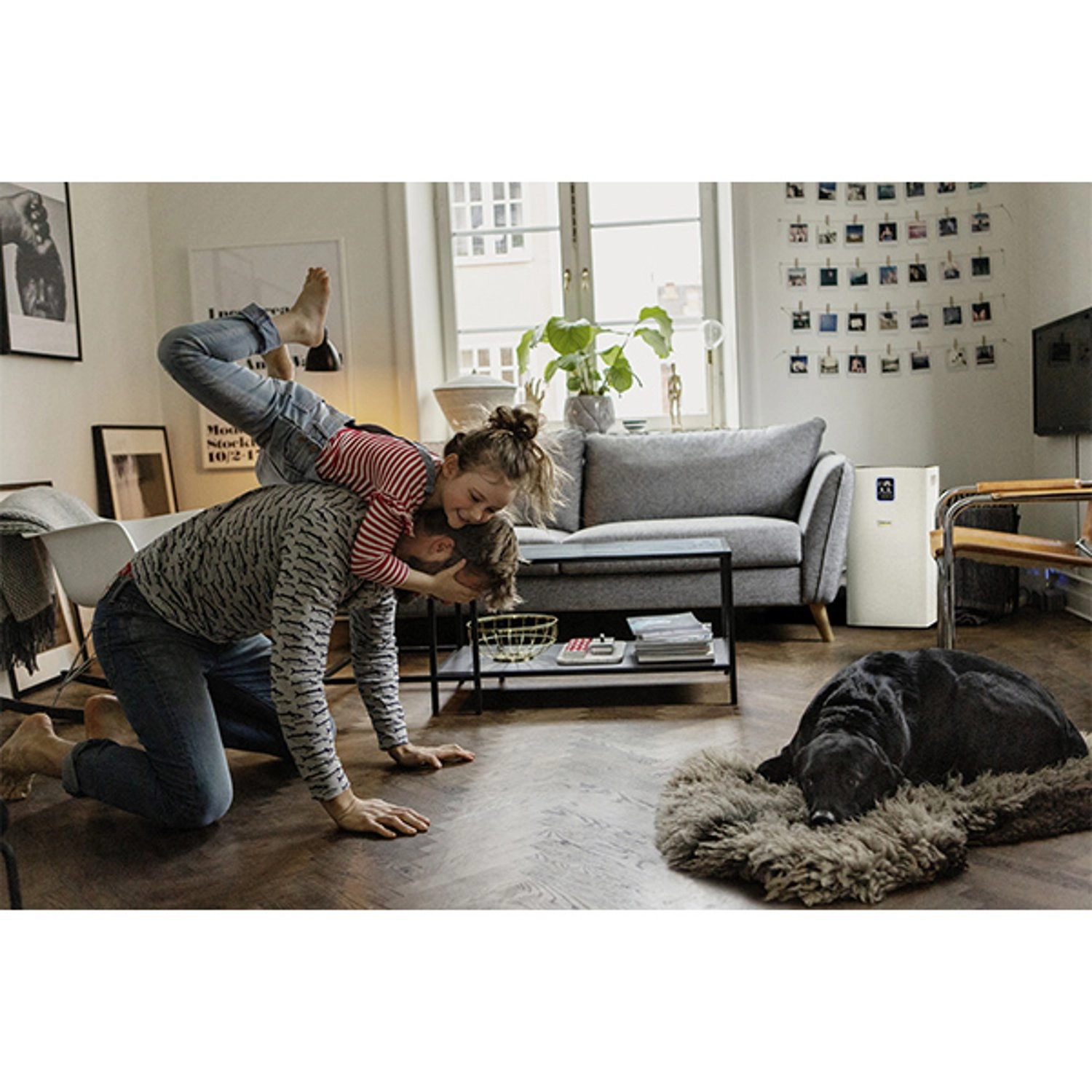 AF 50 - 50 Watt 100 square meter