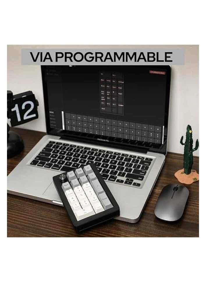 EK21 - Wisteria Linear Switch