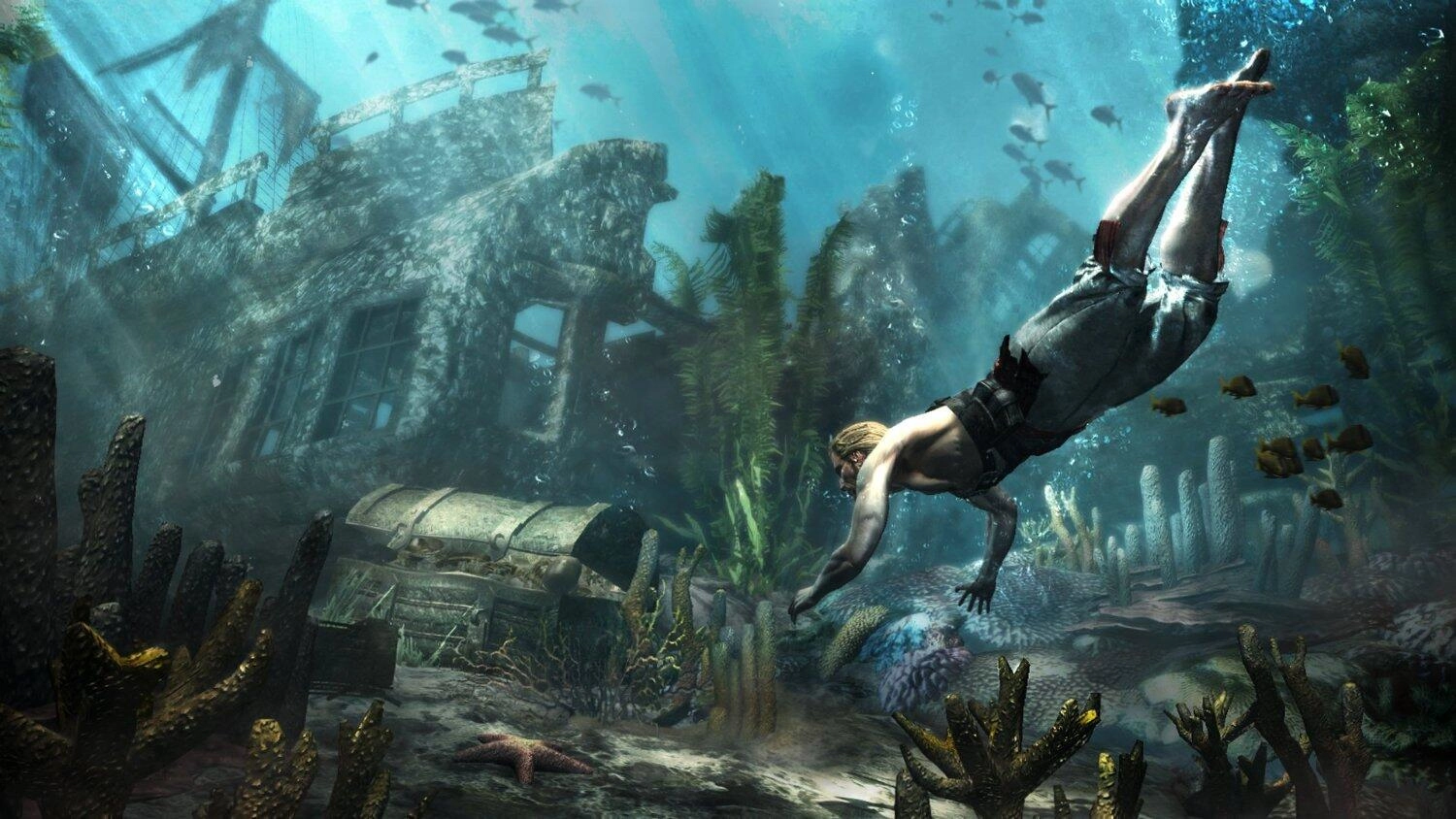 Assassin's Creed IV: Black Flag - PlayStation 4