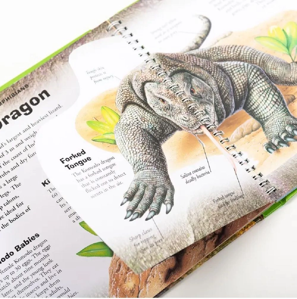 Incredible Reptiles & Amphibians - 6+