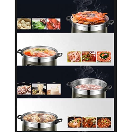 Electric Steamer - 10 Liters