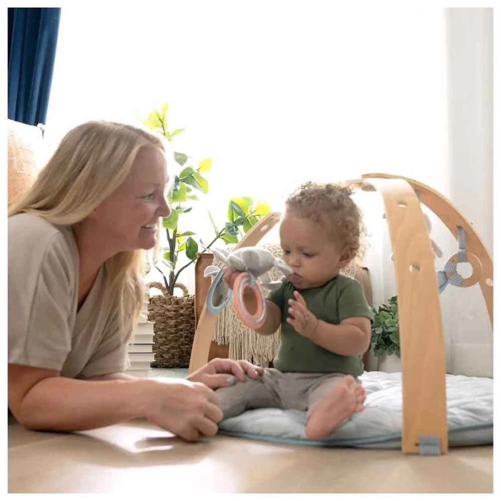 Every Season Plush Lambswool Play Gym - 0 months