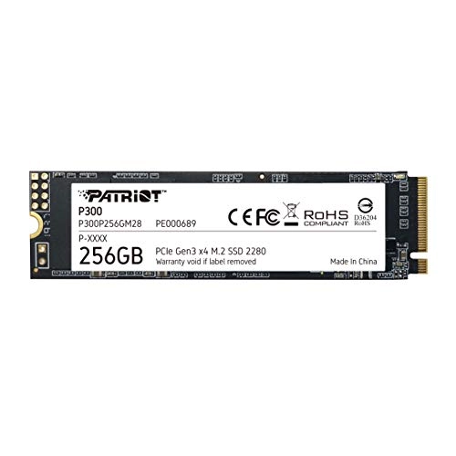 P300 - 256GB M 2