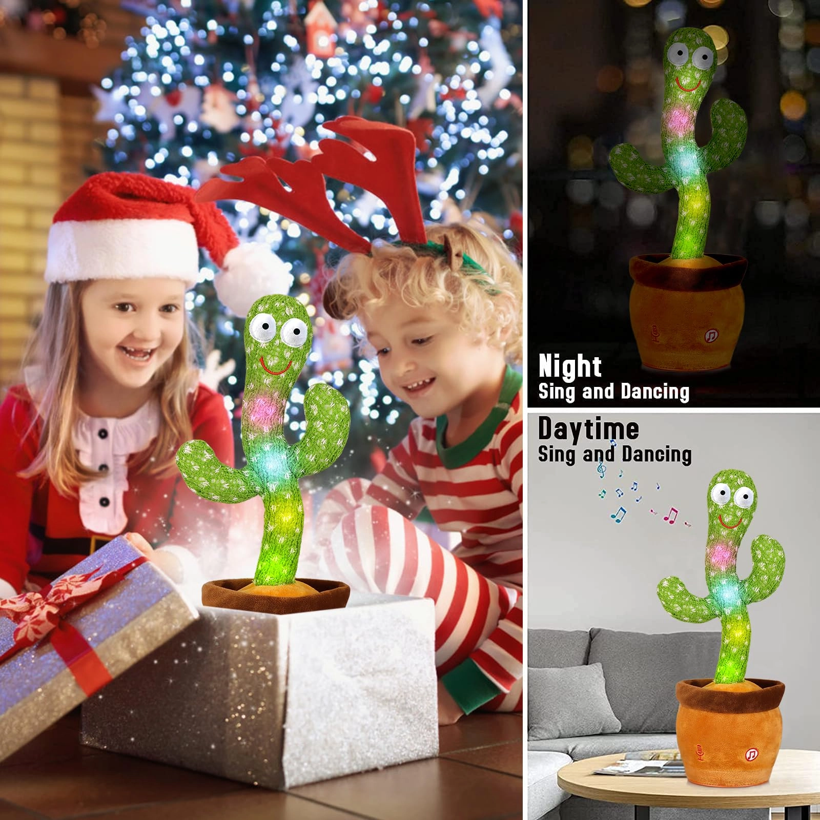 Christmas Dancing Cactus - 3 years+