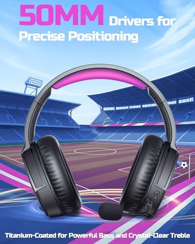 BW02-BT Wireless Headset