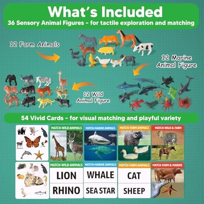 Observation Matching Game - 36 Animal Figures 54 Cards