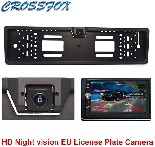 FALK - Night Vision 480p