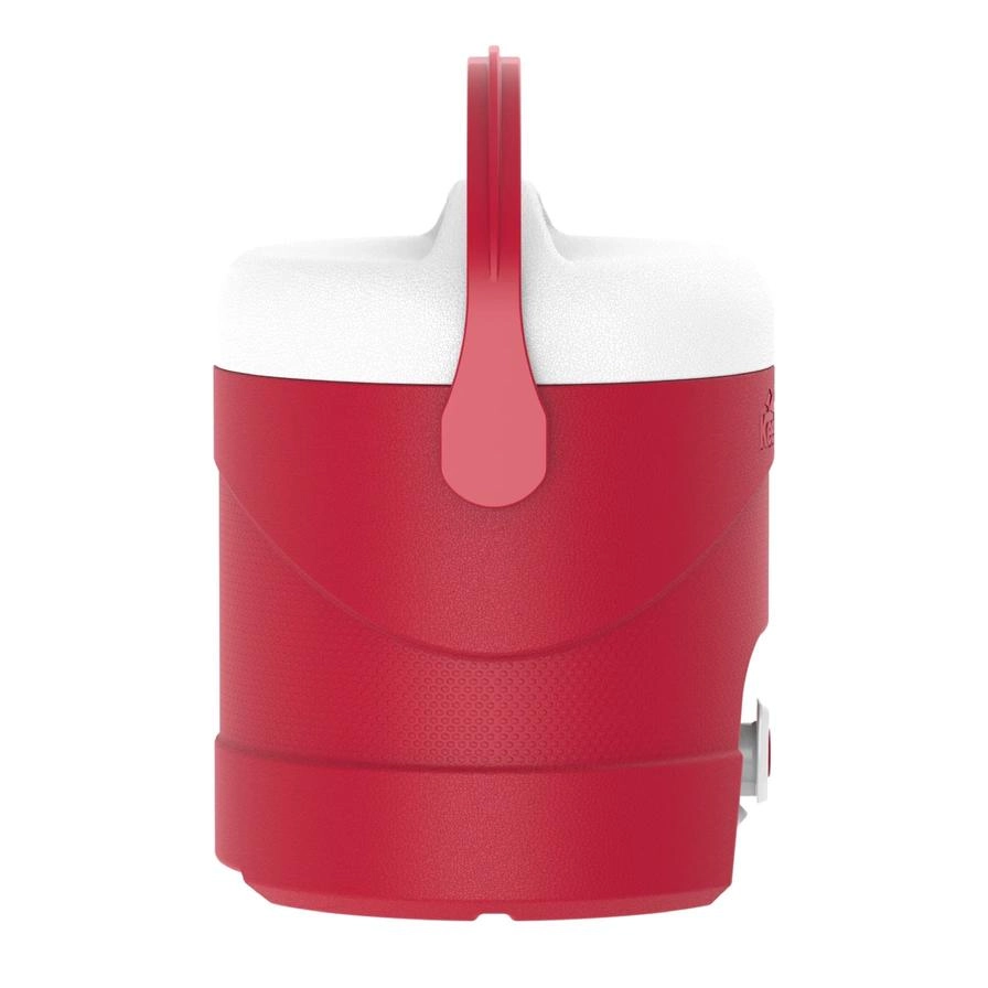 KeepCold Picnic Cooler - 4 Liter(s)