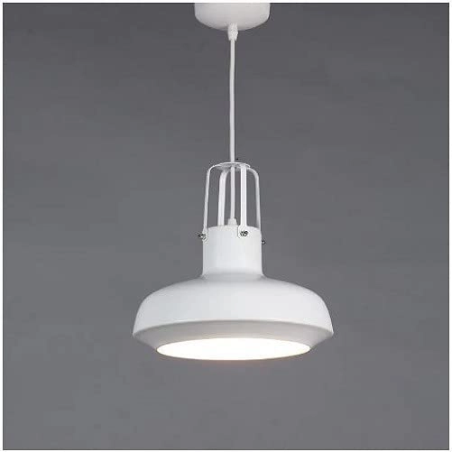 Hanging Tulip Cone Disc Ceiling Light - Grey Aluminum