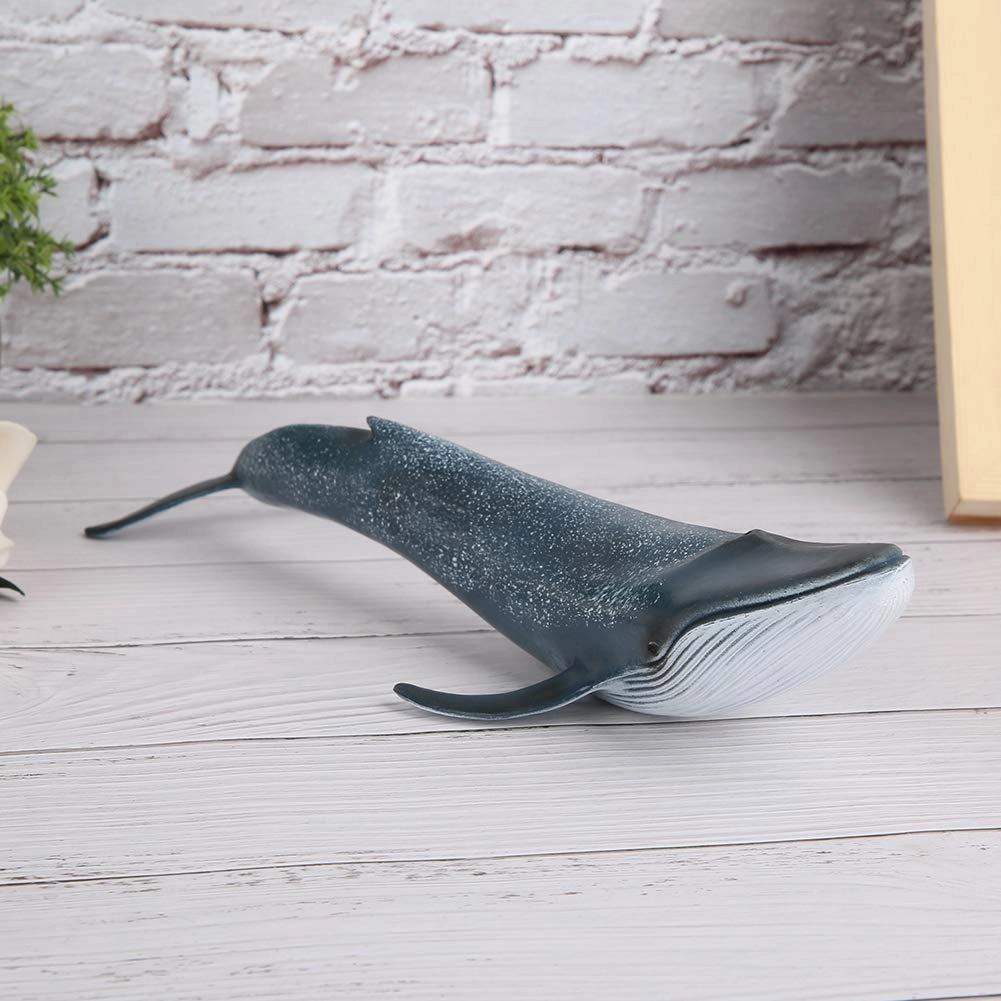 GOTOTOP g8him1tu6l - 192 months 1 Count