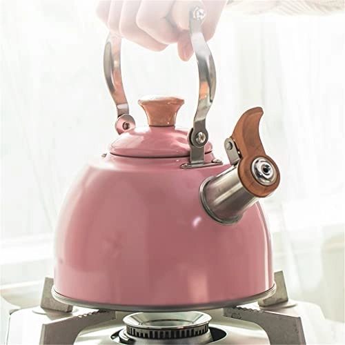 Stainless Steel Kettle - 2.5L